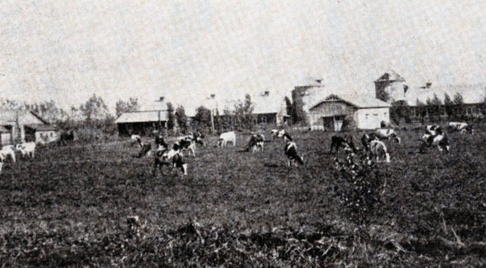 1920(大正9)年頃の牧場